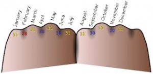 knuckle mnemonic to recall which months have 31 days