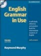 English Grammar in Use